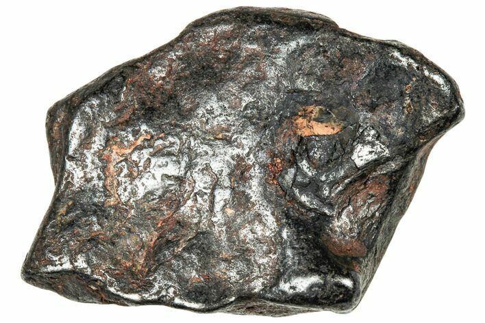 Agoudal Iron Meteorite ( g) - Morocco #303951